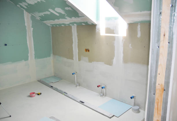 Best Residential Mold Inspection & Testing  in Otsego, MN