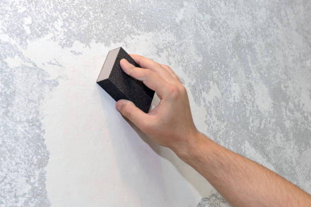 Professional Mold Removal in Otsego, MN