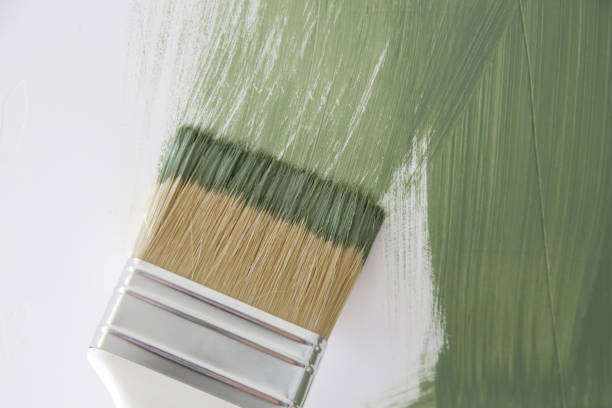 Best Mold Damage Restoration  in Otsego, MN