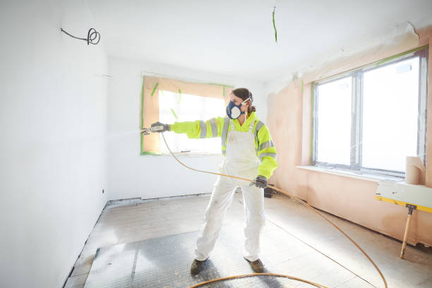 Best Basement Mold Removal  in Otsego, MN