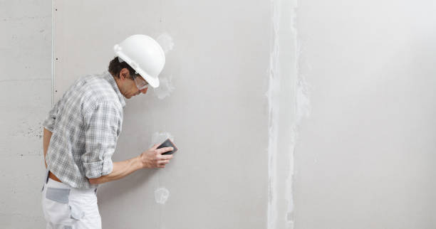 Best Mold Remediation for Healthcare Facilities  in Otsego, MN