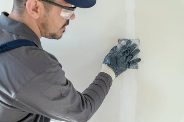 Best Airborne Mold Testing  in Otsego, MN