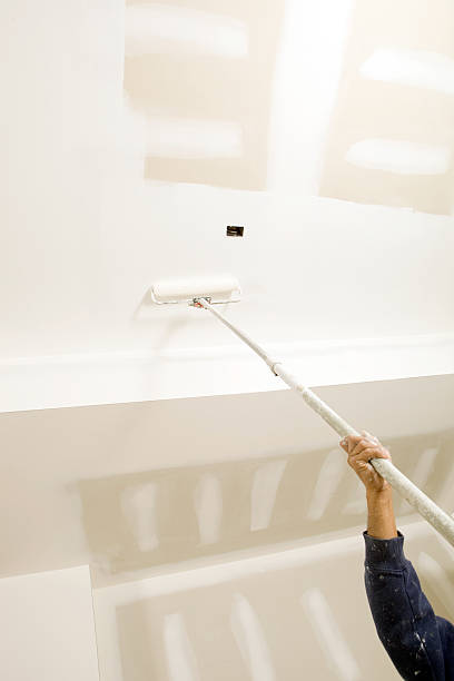 Best Mold Documentation for Insurance Claims  in Otsego, MN